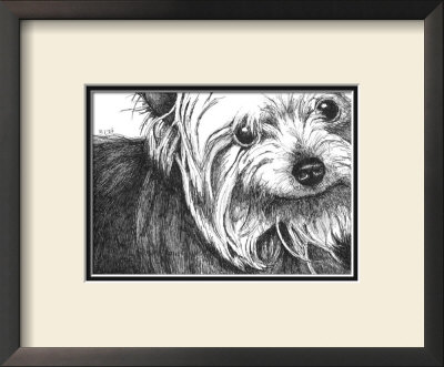 Bella The Yorkie by Beth Thomas Pricing Limited Edition Print image