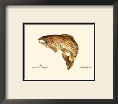 Brown Trout by Teri Renee Blehm Pricing Limited Edition Print image
