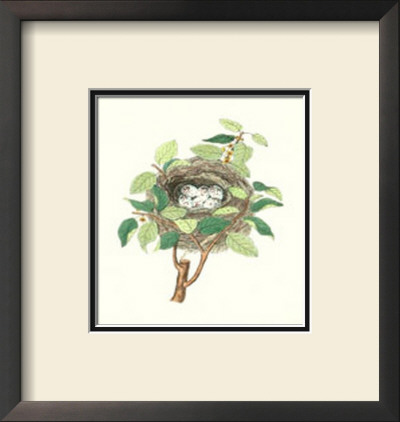 Twite Nest by James Bolton Pricing Limited Edition Print image