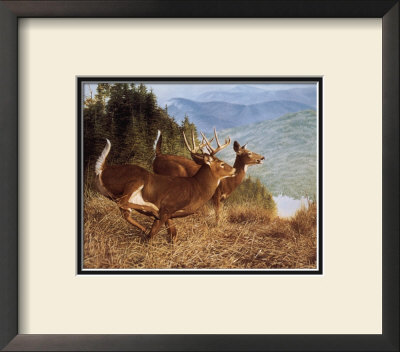 Running Deer by Robert Travers Pricing Limited Edition Print image