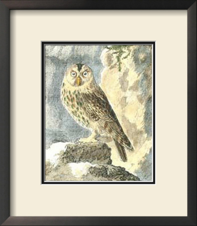 Night Guardian Ii by J.E. Deseve Pricing Limited Edition Print image