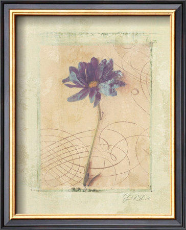 Calligraphic Flowers Iii by Deborah Schenck Pricing Limited Edition Print image