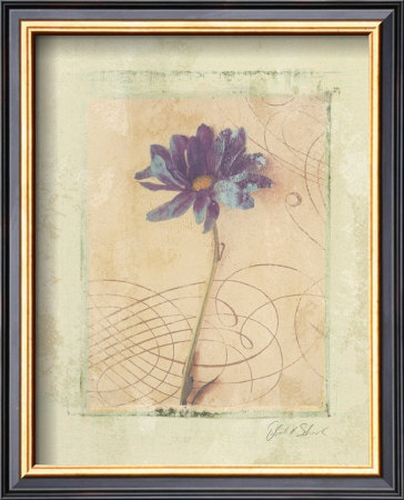 Calligraphic Flowers Iii by Deborah Schenck Pricing Limited Edition Print image