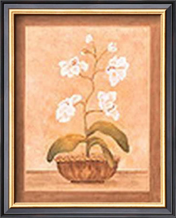 Orchids by Valerie Wenk Pricing Limited Edition Print image