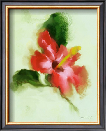 Hibiscus by Anthony Morrow Pricing Limited Edition Print image
