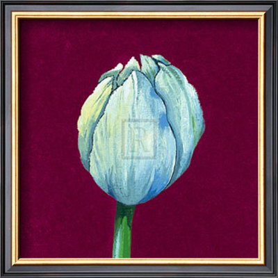 From Flower To Bud I by Kate Mawdsley Pricing Limited Edition Print image