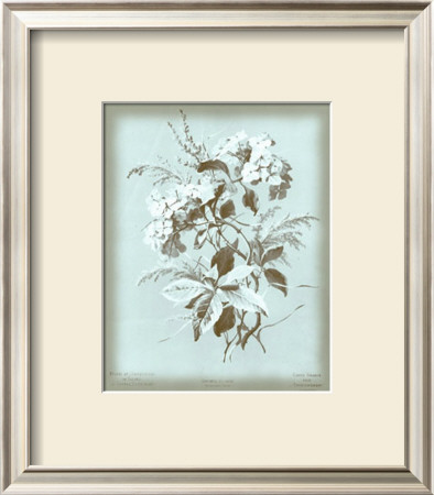 Dussurgey Hydrangea On Blue by Dussurgey Pricing Limited Edition Print image