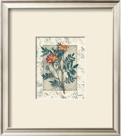 Calendula by Julie Nightingale Pricing Limited Edition Print image