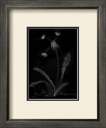 Dandelion Garden I by Alicia Ludwig Pricing Limited Edition Print image