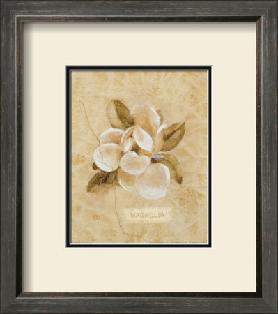 Magnolia On Cracked Linen by Cheri Blum Pricing Limited Edition Print image