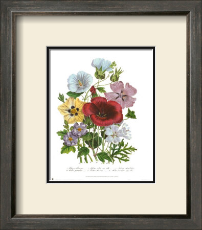 Hibiscus by Jane W. Loudon Pricing Limited Edition Print image