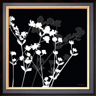 Pure Shadow Flower Ii by Katrine Alex Pricing Limited Edition Print image