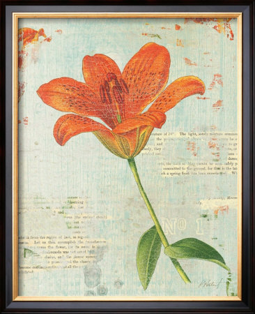 Spring Lily I by Katie Pertiet Pricing Limited Edition Print image