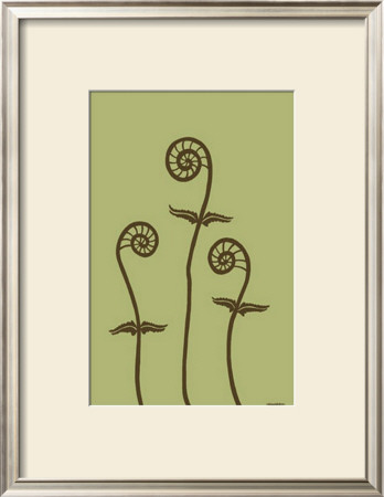 Dichromatic Fiddleheads Iii by Vanna Lam Pricing Limited Edition Print image