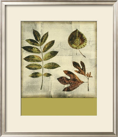 Leaf Etching I by Nancy Slocum Pricing Limited Edition Print image