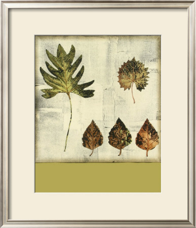 Leaf Etching Ii by Nancy Slocum Pricing Limited Edition Print image