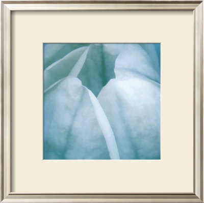 Tulip Trio Iii by Gabriel Scott Pricing Limited Edition Print image