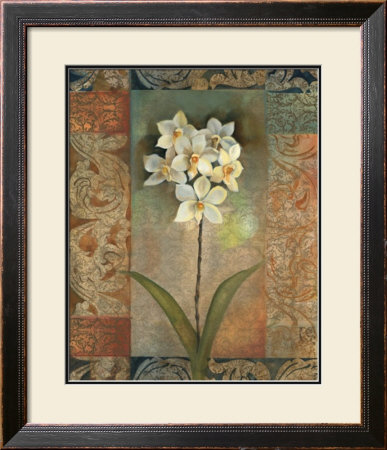 Orchid Romance by Louise Montillio Pricing Limited Edition Print image