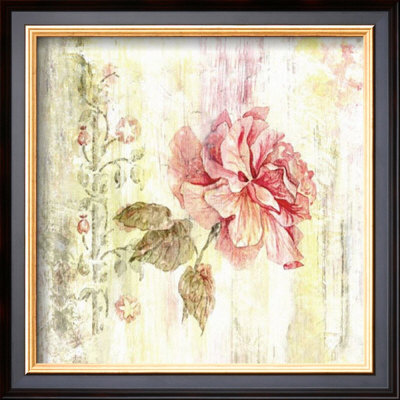 Rose Portrait I by Sara Mooney Pricing Limited Edition Print image