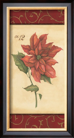 Poinsettia by Stephanie Marrott Pricing Limited Edition Print image