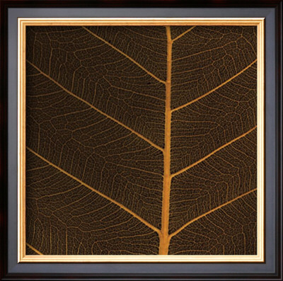 Bo Leaf Iii by Andrew Levine Pricing Limited Edition Print image
