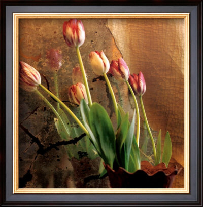 Tulip Reflection by Susan Friedman Pricing Limited Edition Print image