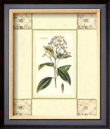 Cinnamon With Mosaic by Deborah Bookman Pricing Limited Edition Print image
