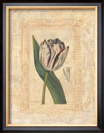 Tulipanes Bessa Ii by Javier Fuentes Pricing Limited Edition Print image