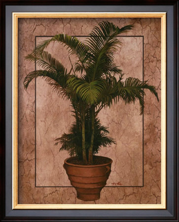 Potted Palm Ii by T. C. Chiu Pricing Limited Edition Print image