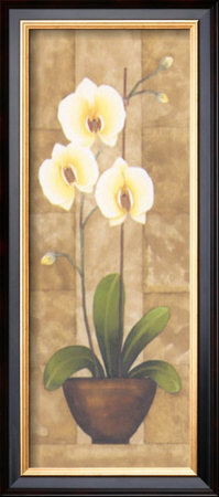 Melodic Orchid I by Urpina Pricing Limited Edition Print image