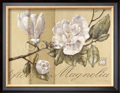 Magnolia by Vivien White Pricing Limited Edition Print image