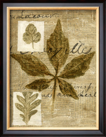 Leaf Collage Iii by Kate Archie Pricing Limited Edition Print image