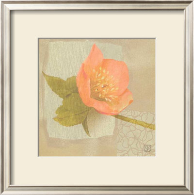 Hellebore I by Philippe Paput Pricing Limited Edition Print image