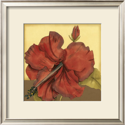 Cropped Sophisticated Hibiscus Iii by Jennifer Goldberger Pricing Limited Edition Print image