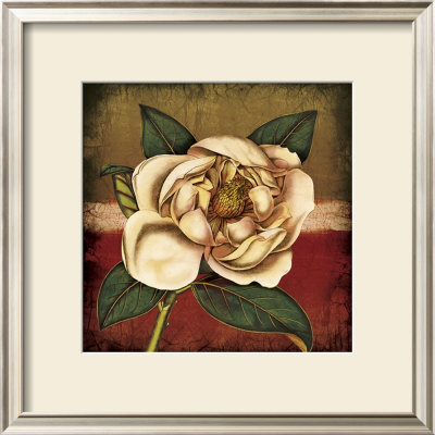 Sudden Bloom I by Krissi Pricing Limited Edition Print image