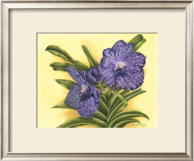 Vibrant Orchid Iii by Gloria J. Callahan Pricing Limited Edition Print image