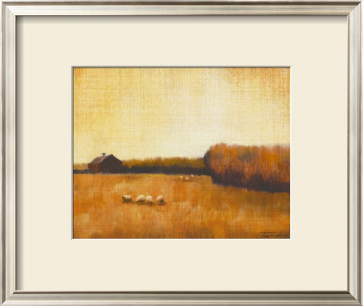 Open Range I by Tandi Venter Pricing Limited Edition Print image