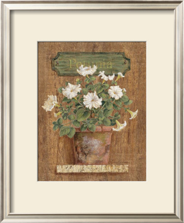 Petunia by Gloria Eriksen Pricing Limited Edition Print image
