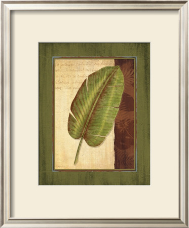 Palm Tropical Ii by Delphine Corbin Pricing Limited Edition Print image