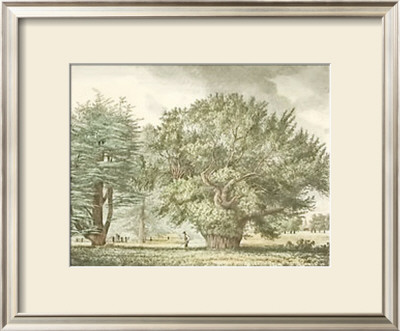 Strutt Trees by Jacob George Strutt Pricing Limited Edition Print image