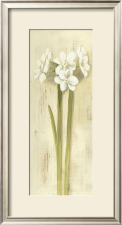 White Flowers by David Col Pricing Limited Edition Print image