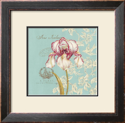 Toile Iris by Stefania Ferri Pricing Limited Edition Print image