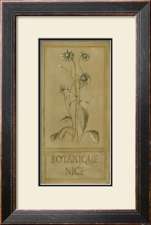Bontanique Nice by Stela Klein Pricing Limited Edition Print image