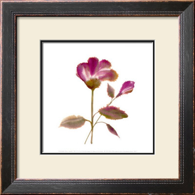 Flowers by Lucile Prache Pricing Limited Edition Print image