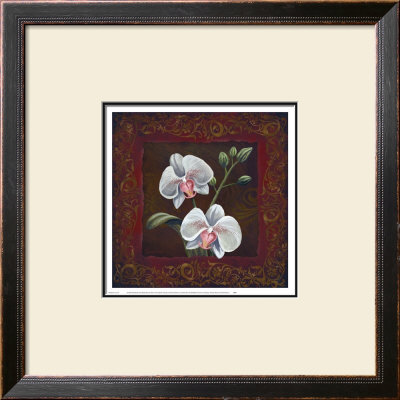 Orchid Study Ii by Thomas Wood Pricing Limited Edition Print image
