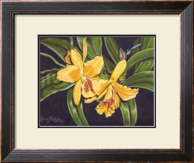 Vibrant Orchid I by Gloria J. Callahan Pricing Limited Edition Print image