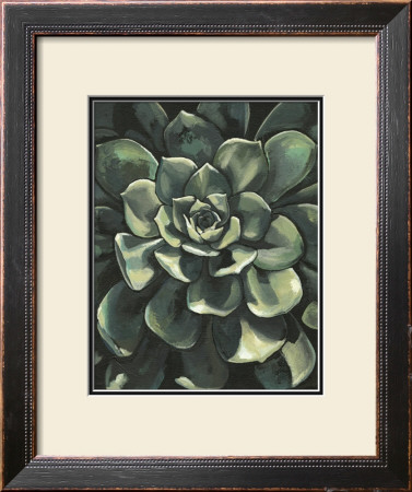 Lunar Succulent I by Megan Meagher Pricing Limited Edition Print image