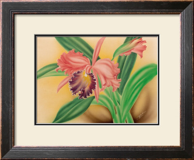 Pink Cattleya Orchid by Moki Hana Pricing Limited Edition Print image
