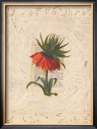 Island Botanical Ll by Jan Weiss Pricing Limited Edition Print image