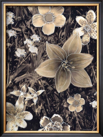 Sepia Floral Ii by Francine Funke Pricing Limited Edition Print image